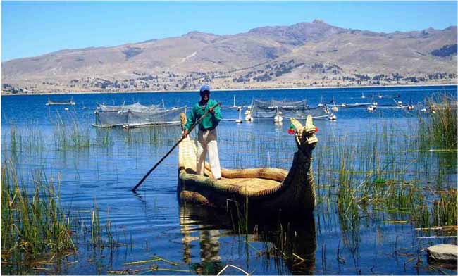 Bolivia convoca a descontaminar el lago Titicaca