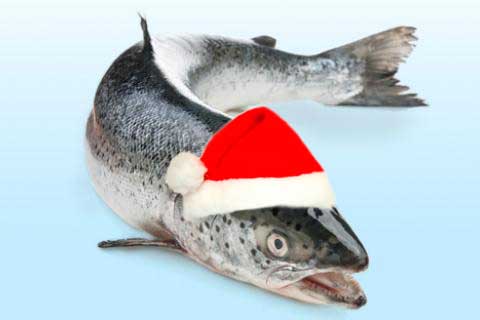salmon papanoel