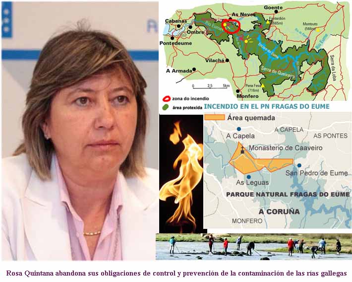 rosaquintanaabandonasusobligaciones