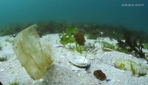 Basuras marinas en las zonas de fondeo y muelles del parque Nacional das Islas Atlánticas